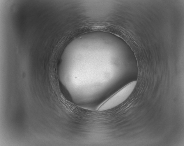 X0000071941441200607071001