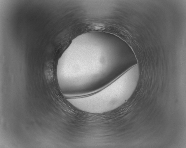 X0000071941442200607071001