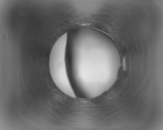 X0000071941443200607071001