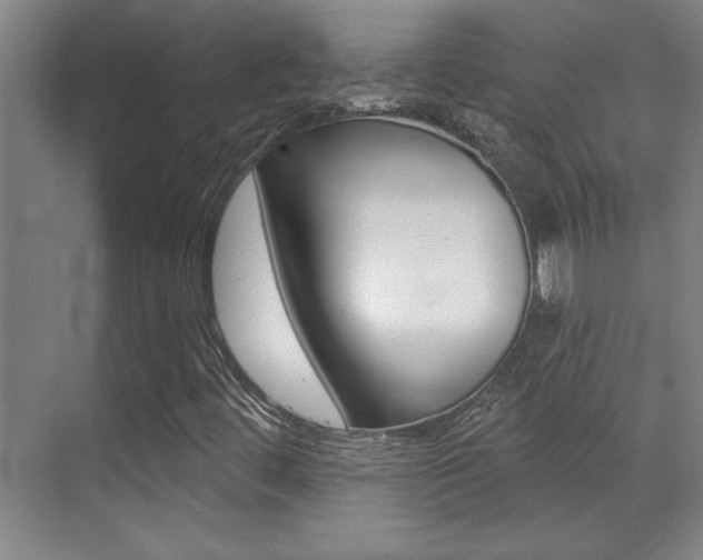 X0000071941444200607071001