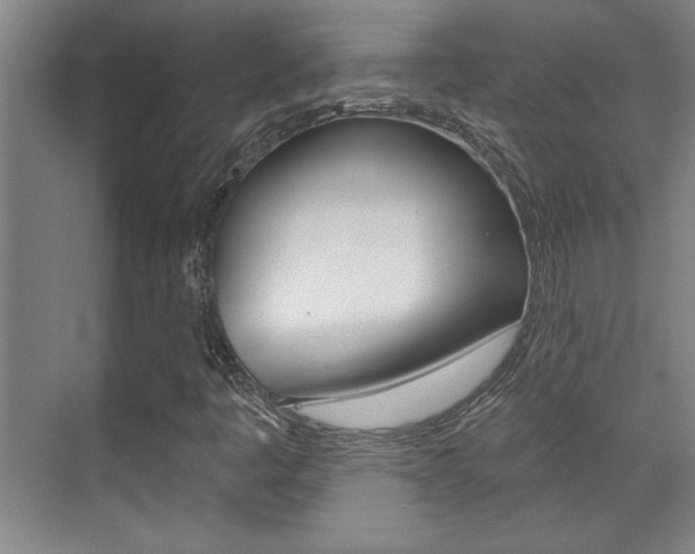 X0000071941445200607071001