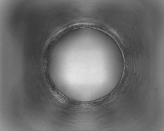 X0000071941448200607071001