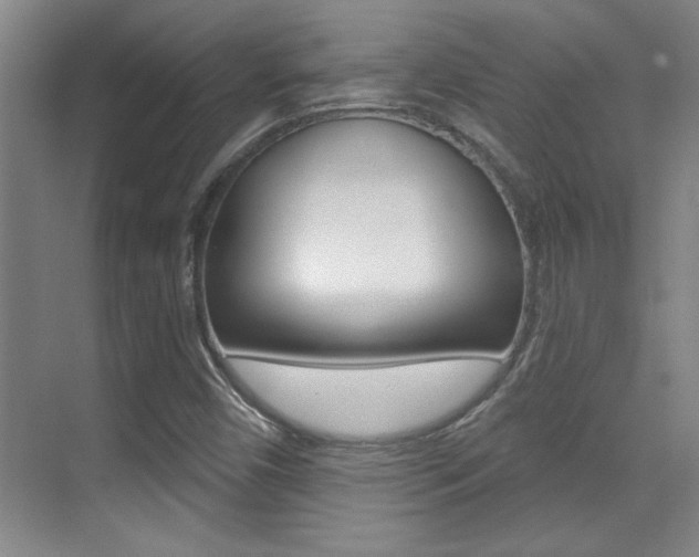 X0000071941450200607071001