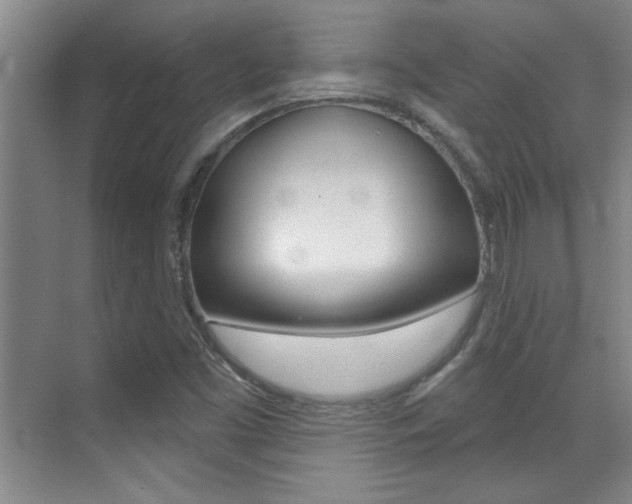 X0000071941453200607071001