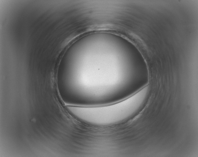 X0000071941457200607071001