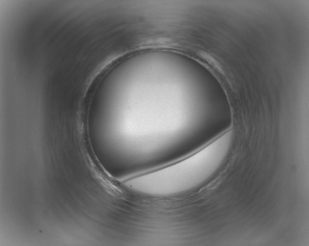 X0000071941458200607071001