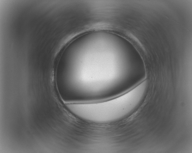 X0000071941461200607071001