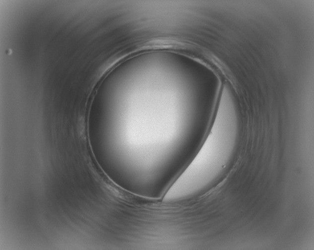 X0000071941465200607071001