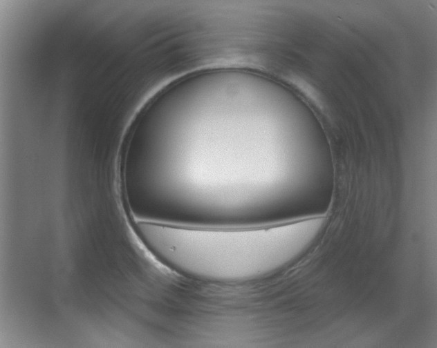 X0000071941468200607071001