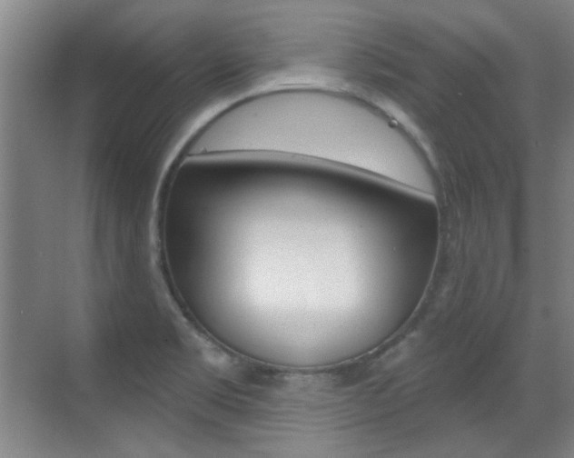 X0000071941469200607071001