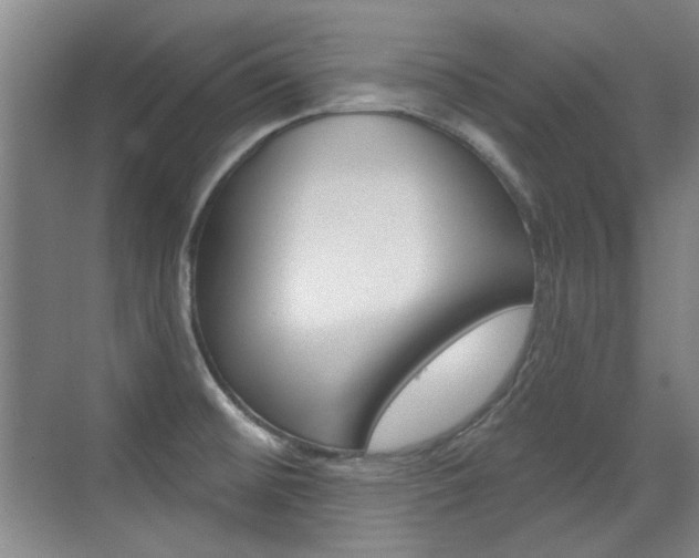 X0000071941476200607071000