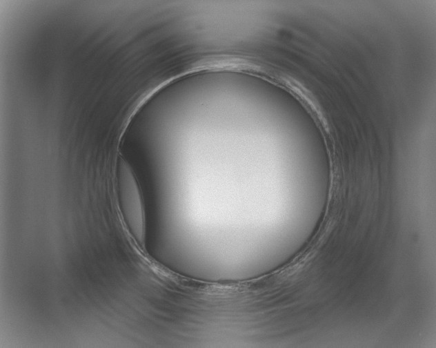 X0000071941481200607071000