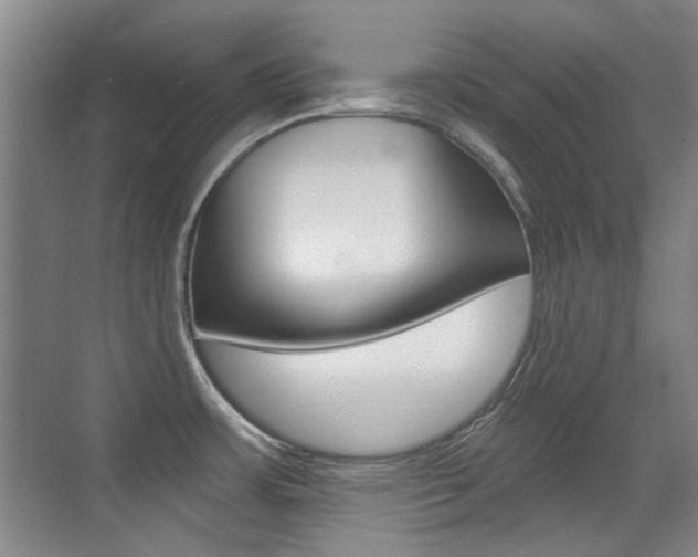 X0000071941483200607071000