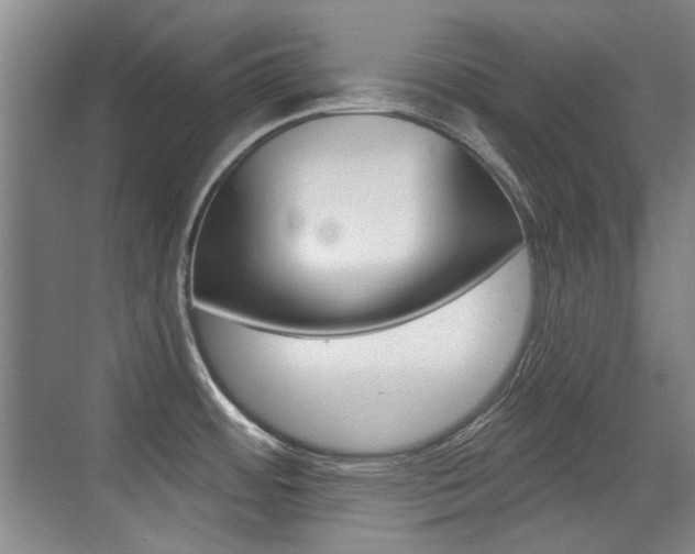 X0000071941484200607071000