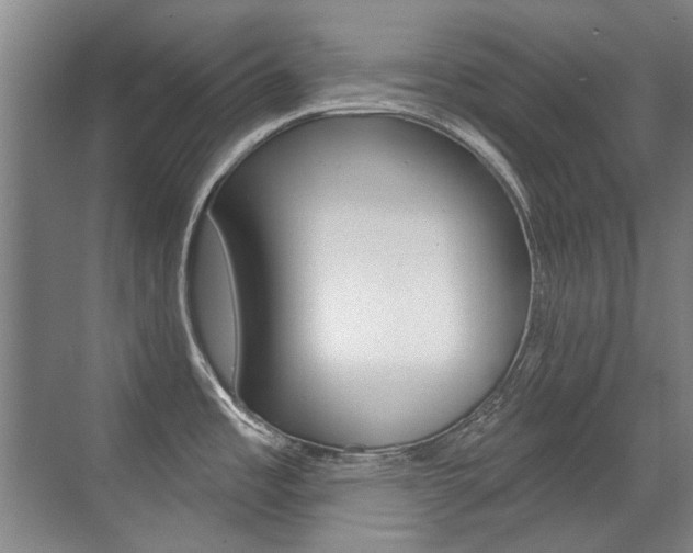 X0000071941485200607071000