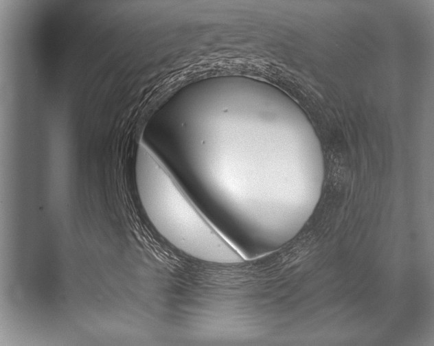 X0000071941489200607070959
