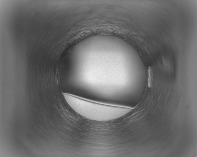 X0000071941491200607070959