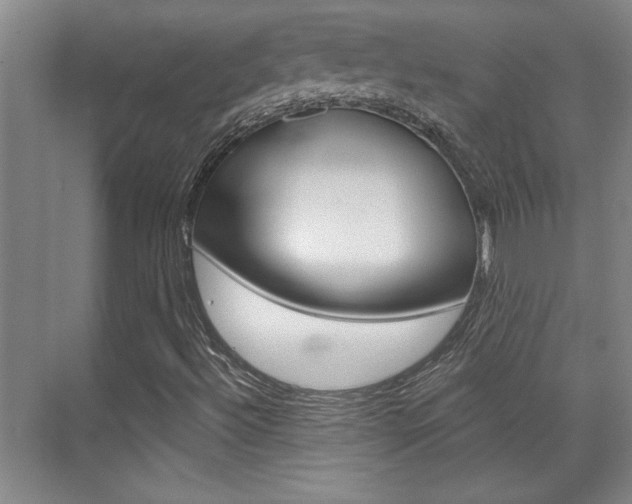 X0000071941492200607070959
