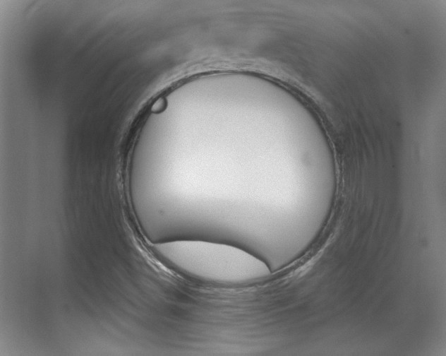X0000071941498200607071000