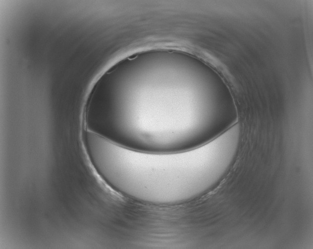X0000071941520200607071000