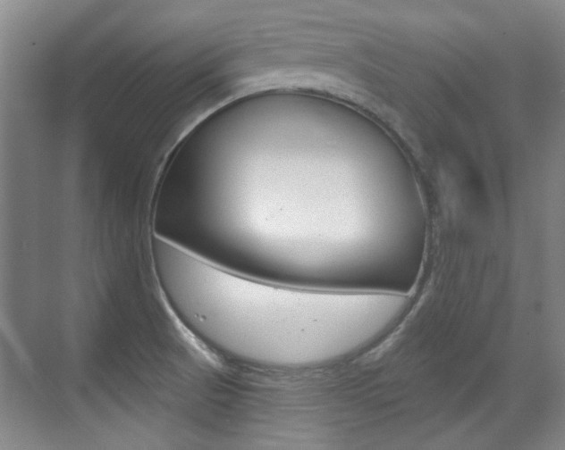 X0000071941521200607071000