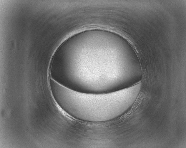 X0000071941535200607071000