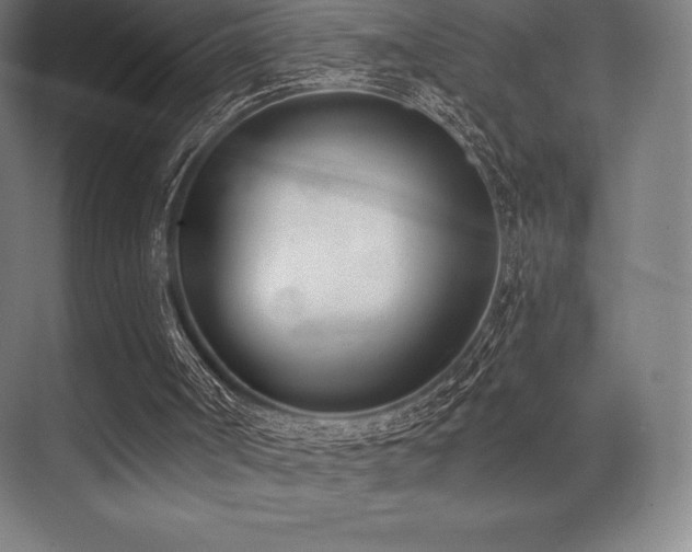 X0000071940002200607071156