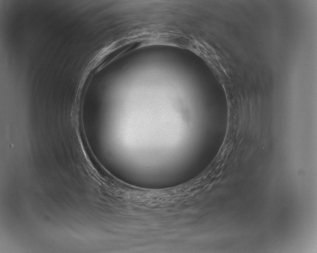X0000071940003200607071156