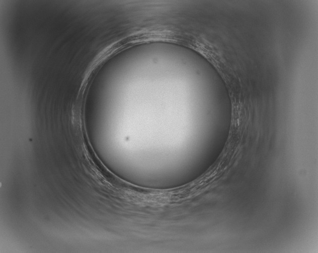 X0000071940004200607071156