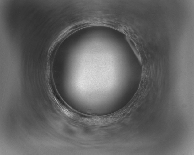 X0000071940005200607071156