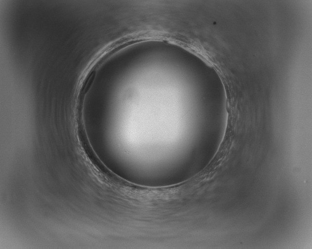 X0000071940007200607071156