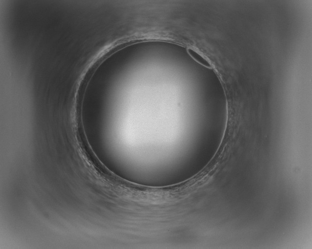 X0000071940008200607071156