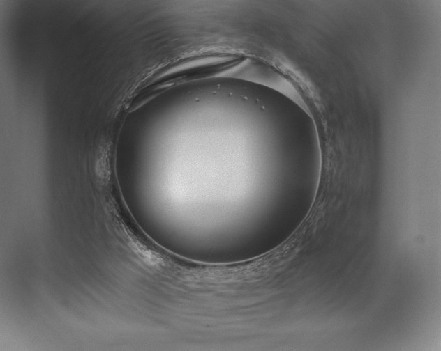X0000071940009200607071156