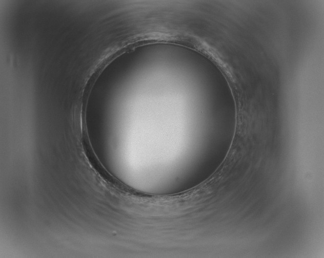 X0000071940011200607071156