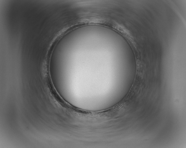 X0000071940012200607071156