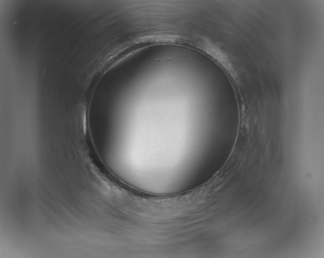 X0000071940013200607071156