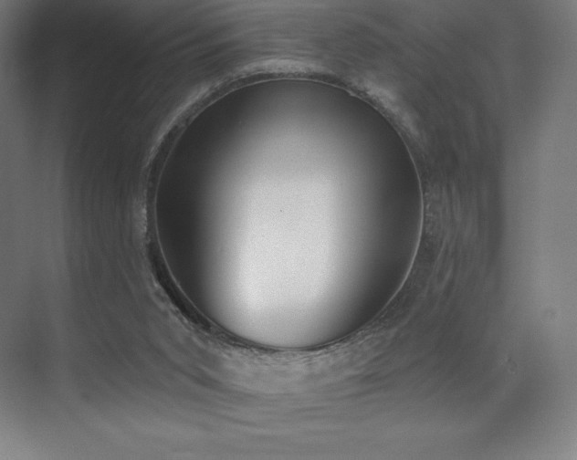 X0000071940015200607071156