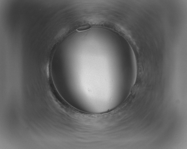 X0000071940019200607071156