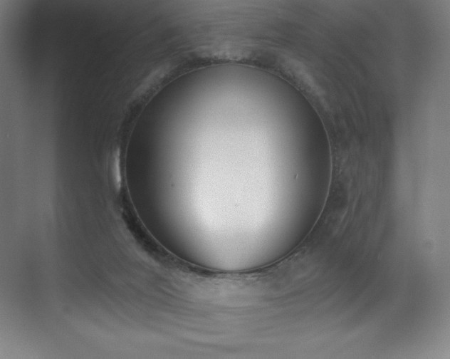 X0000071940020200607071156