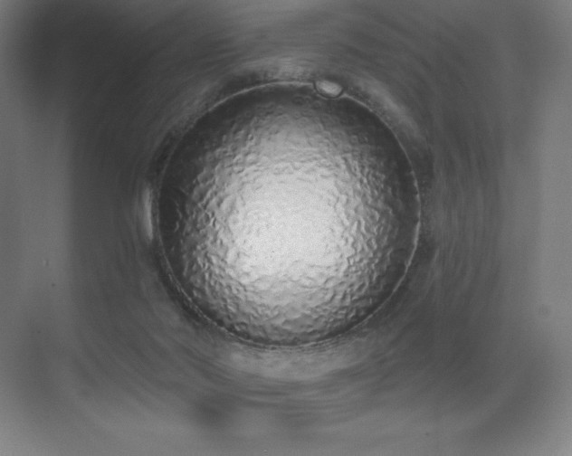 X0000071940022200607071156