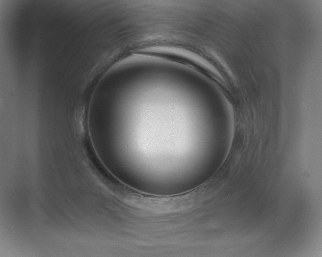 X0000071940023200607071156