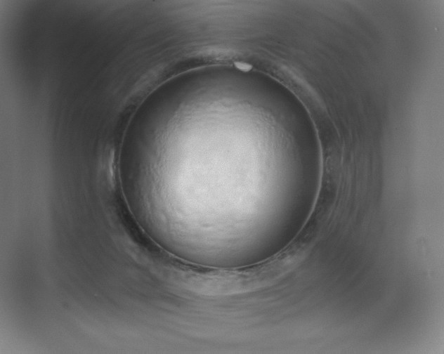 X0000071940024200607071156