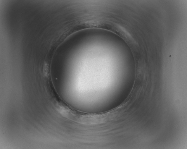 X0000071940025200607071156