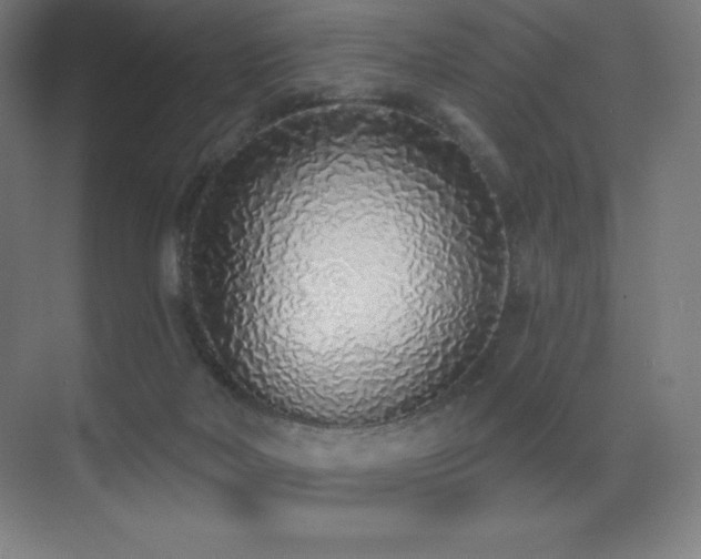 X0000071940026200607071156