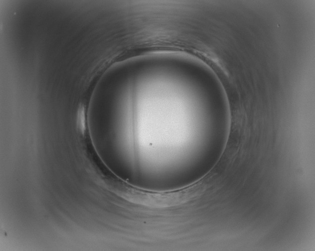 X0000071940027200607071156