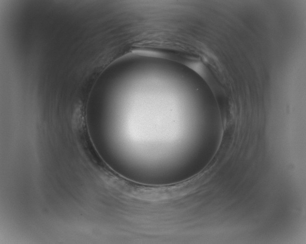 X0000071940029200607071156