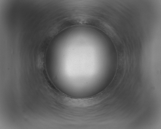 X0000071940030200607071156