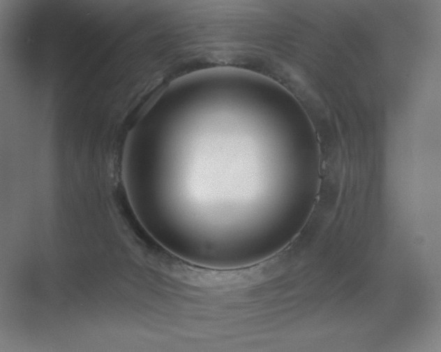 X0000071940031200607071155