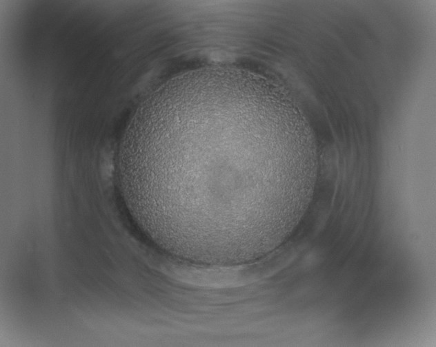X0000071940032200607071155