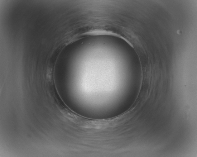 X0000071940033200607071155